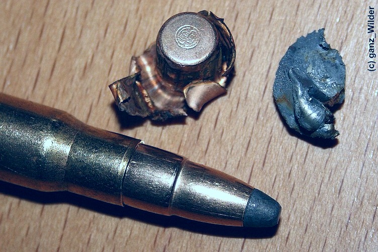 Pocisk S&B SPCE wyjęty z tuszy 80kg dzika