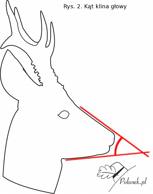 klin elżbieta kamińska