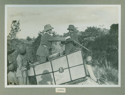 Polowanie Króla Grorge V 1911r - ekspres kulowy