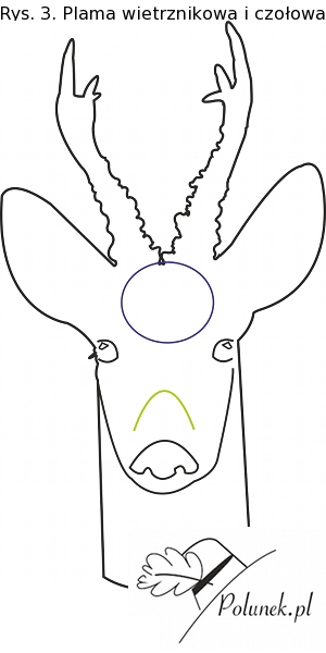 czołowe elżbieta kamińska