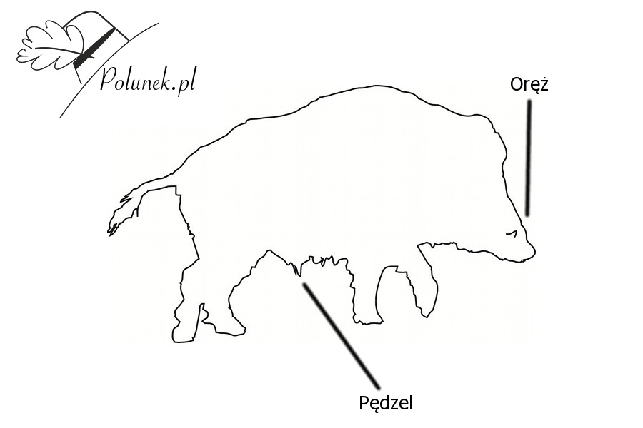 pędzel elżbieta kamińska