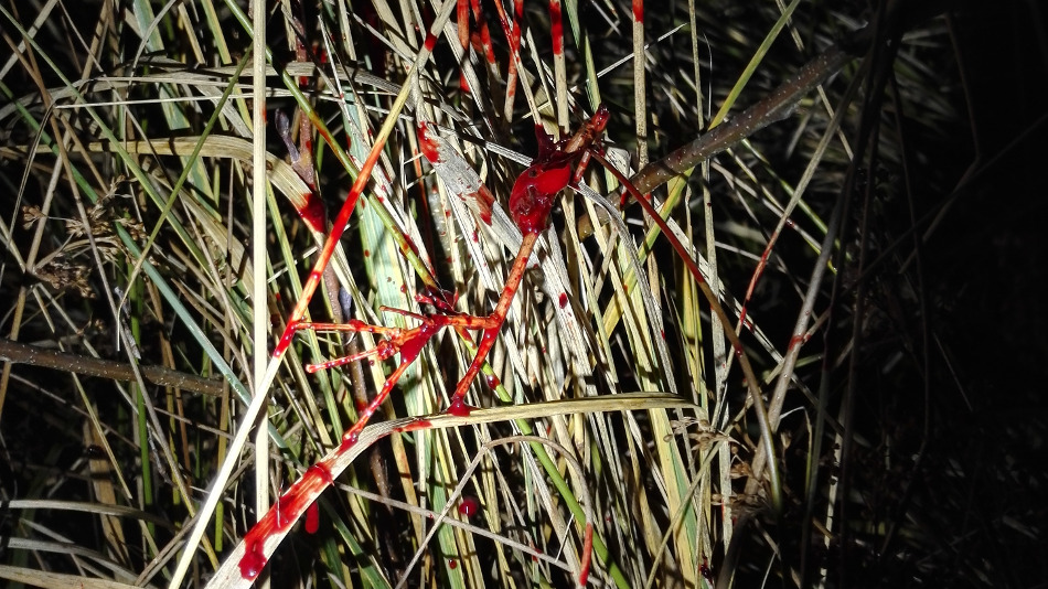 armytek farba / blood