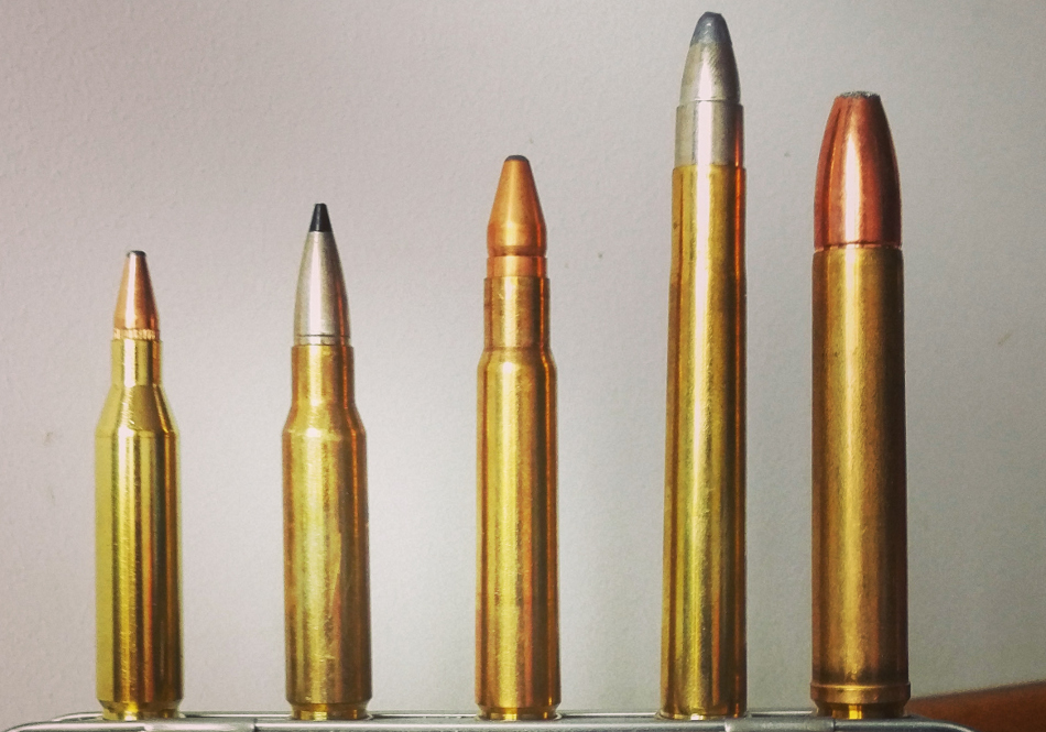 243 win. RWS KS / 308 win RWS Speed tip pro / 8x60S RWS DK / 9,3x74R RWS UNI / 458 win. mag. Norma TXP