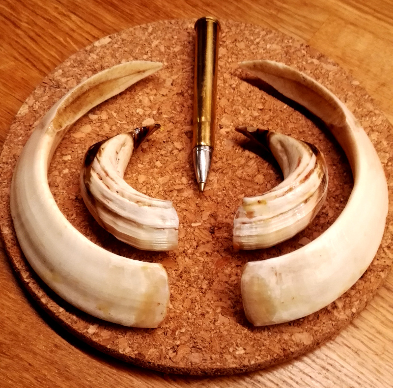 RWS EVO Green 9.3x74R Tusker