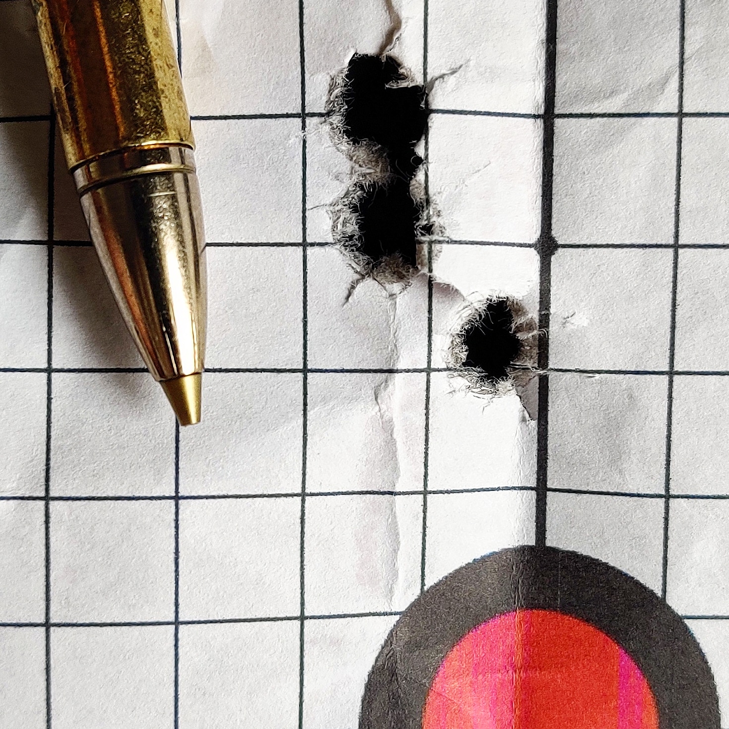 RWS EVO GREEN 9,3x74R Haenel Jaeger 9.1